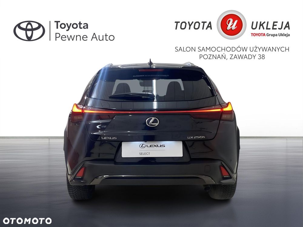 Lexus UX 250h GPF F Sport Design 2WD - 7