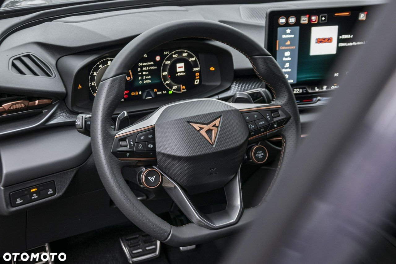 Cupra Terramar - 12