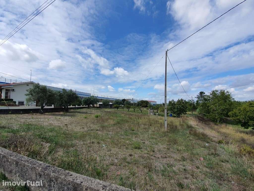 Terreno para construção com poço e arvores de fruto em Cernache - Grande imagem: 3/3