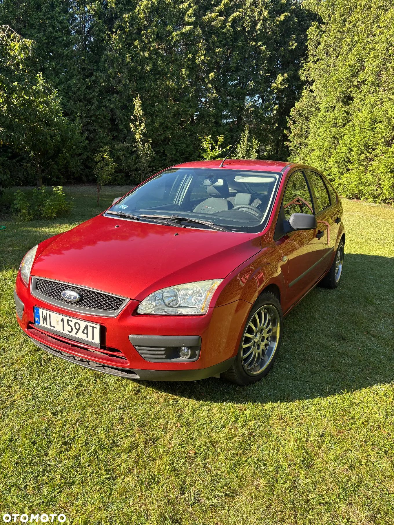 Ford Focus - 1