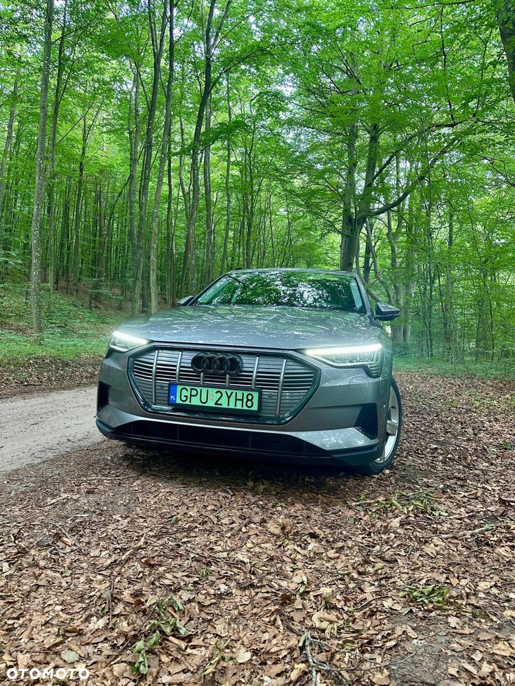 Audi e-tron 50 quattro - 14