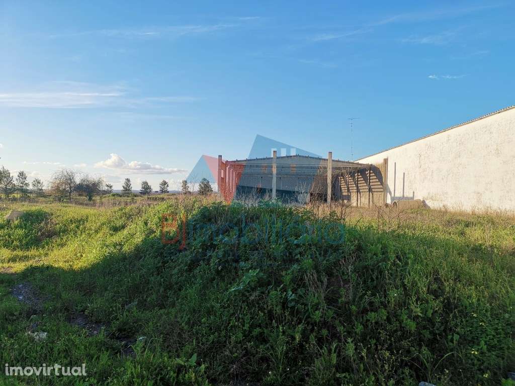 Terreno Rústico Venda Beja - Grande imagem: 4/4