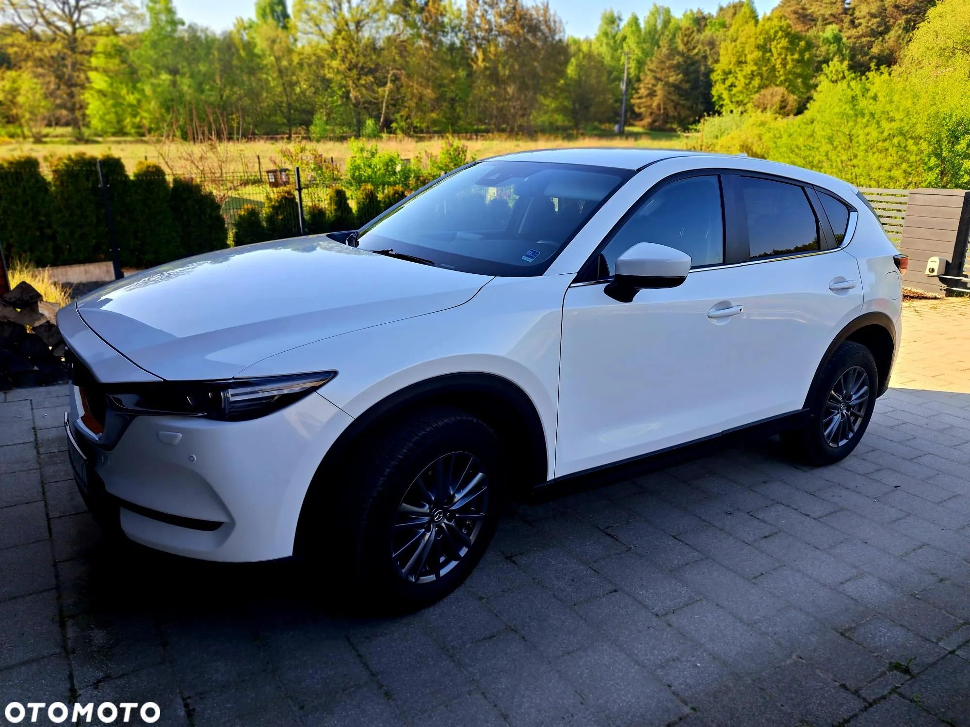 Mazda CX-5 2.0 Skyenergy 2WD - 1