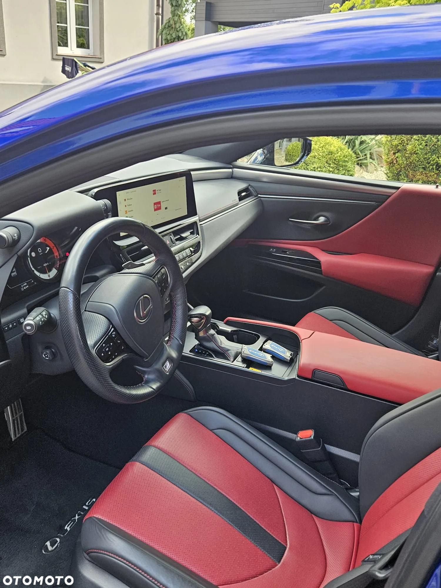 Lexus ES 300h F Sport Edition - 19