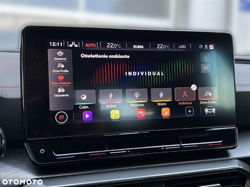 Cupra Formentor 1.5 TSI DSG - 25