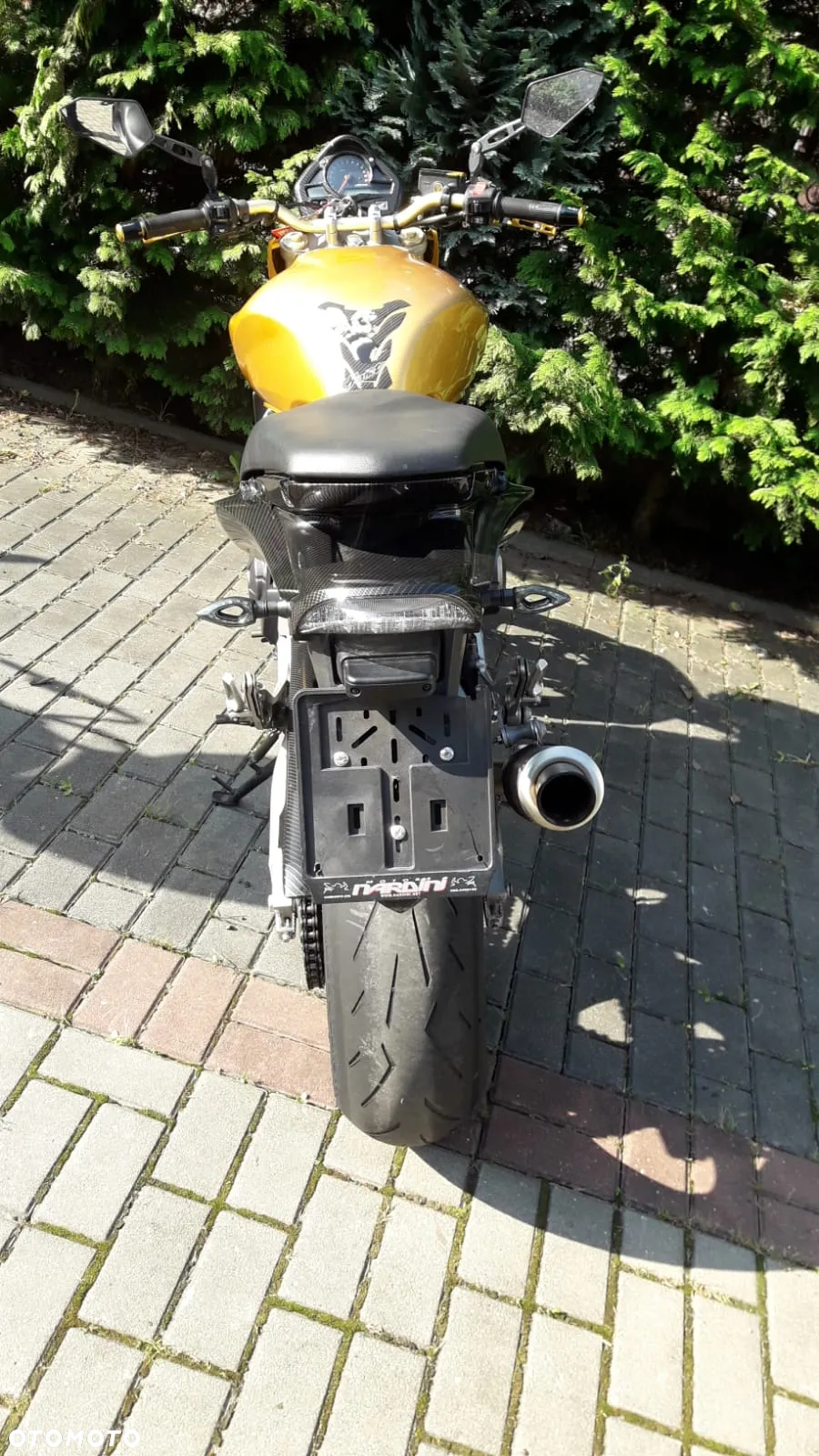 Honda Hornet - 12
