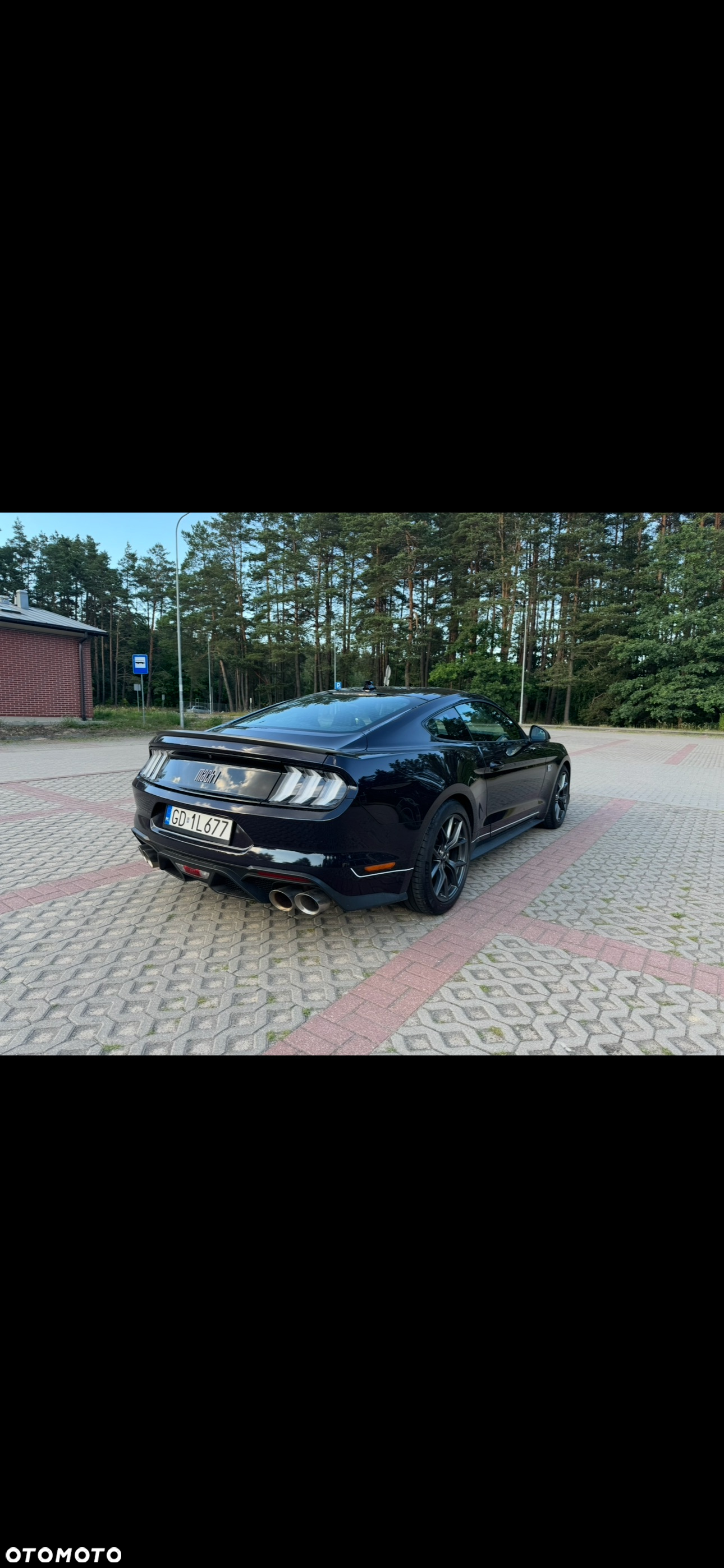 Ford Mustang 5.0 V8 Mach 1 - 2