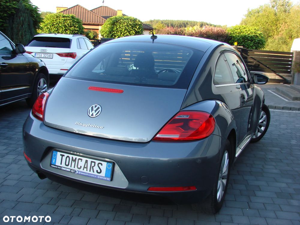 Volkswagen Beetle - 9