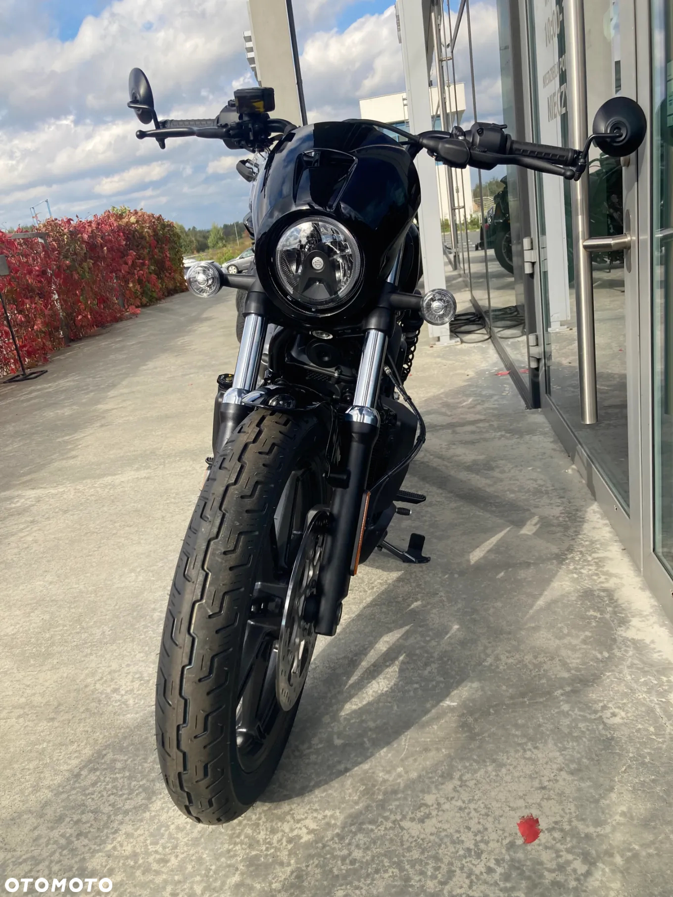 Harley-Davidson Sportster Nightster 975 - 7