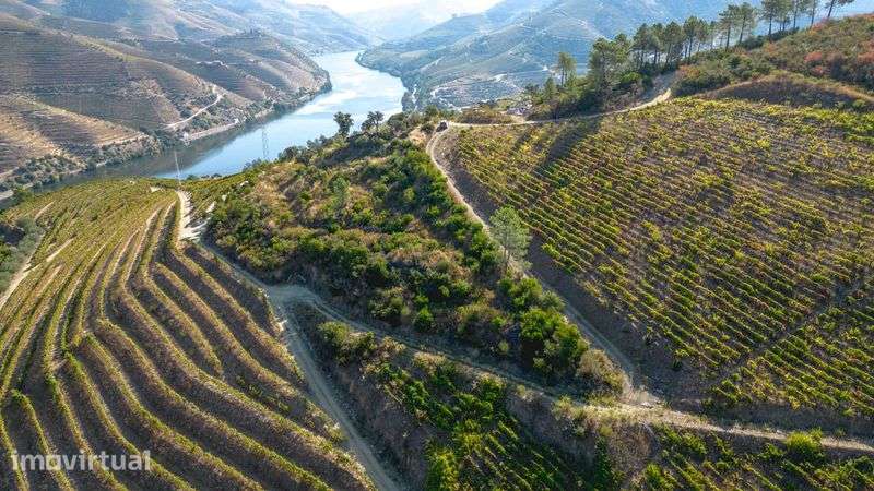 Quinta do Grilo - Alto Douro - Grande imagem: 2/9