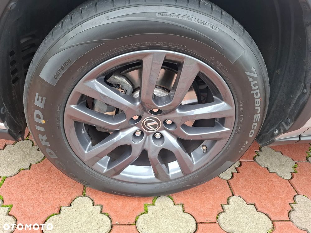 Lexus NX - 25