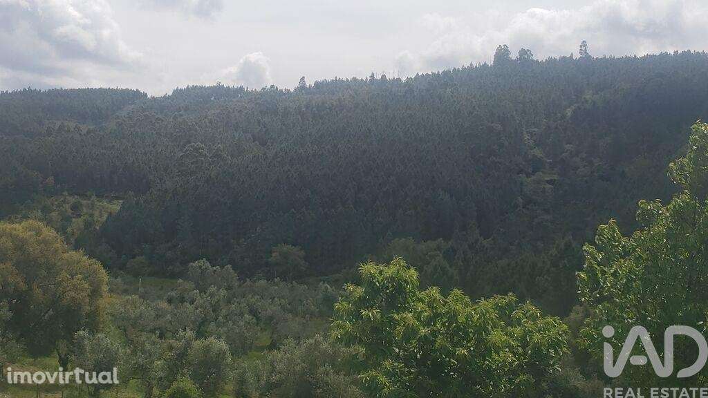 Terreno em Cardigos de 14450,00 m2 - Grande imagem: 2/2