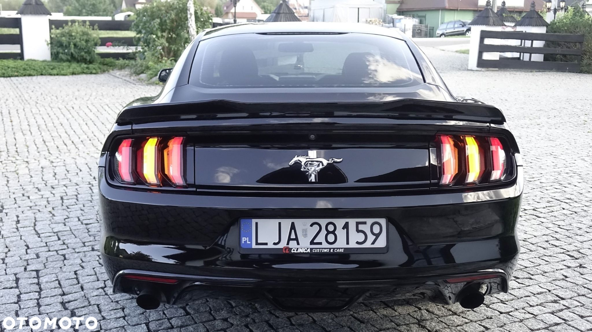 Ford Mustang - 15