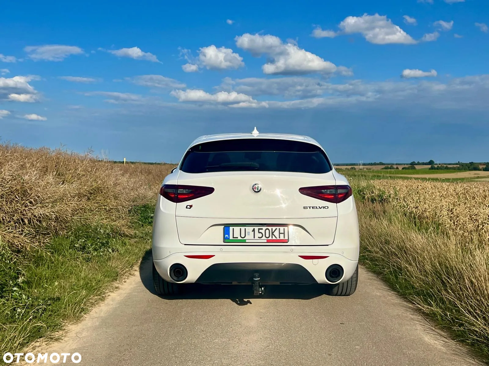 Alfa Romeo Stelvio 2.0 Turbo Veloce Q4 - 2