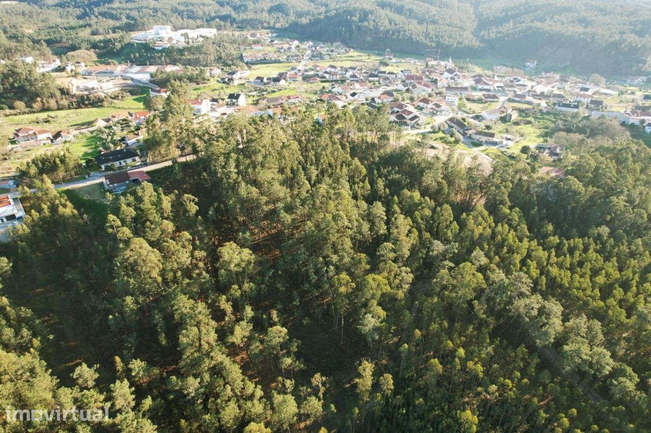 Terreno Para Construção localizado no Cercal, Ourém! - Grande imagem: 3/9