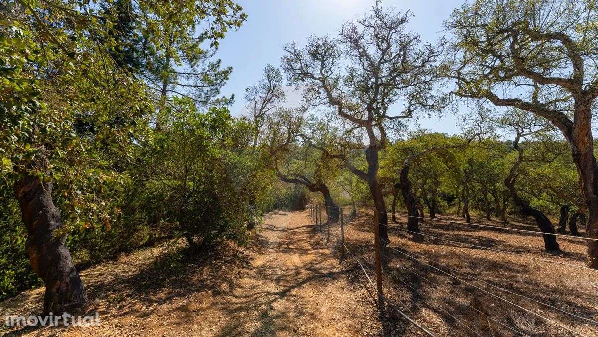 Fabulosa quinta - Grande imagem: 3/17