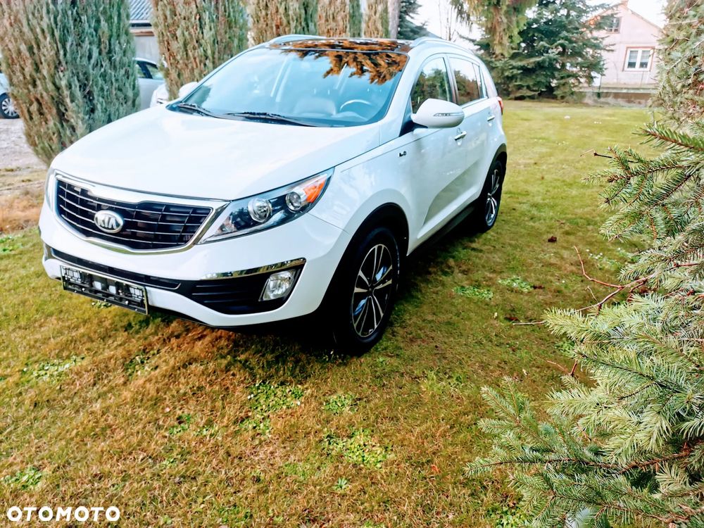 Kia Sportage - 19