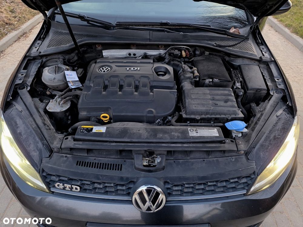 Volkswagen Golf - 38