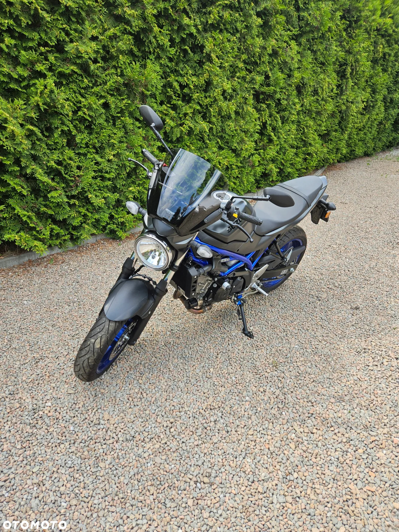 Suzuki SV - 5