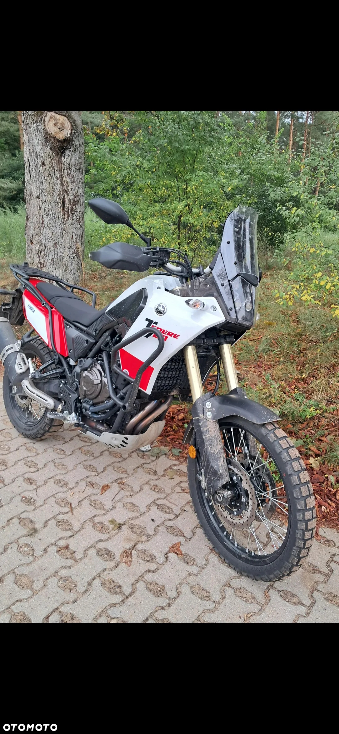 Yamaha Tenere - 14