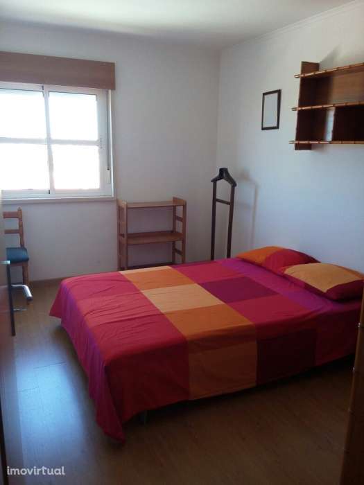 T2 Ameixoeira renovado - Grande imagem: 5/8