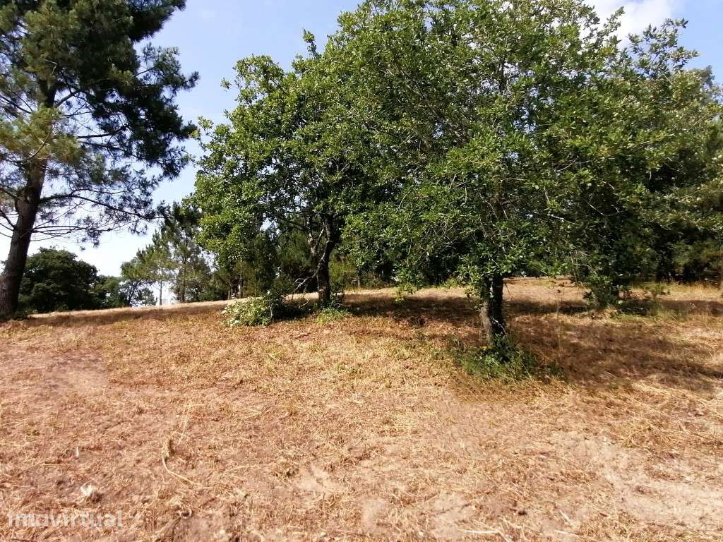 Terreno em Óbidos com grande potencial para plano urbanístico - Grande imagem: 4/12