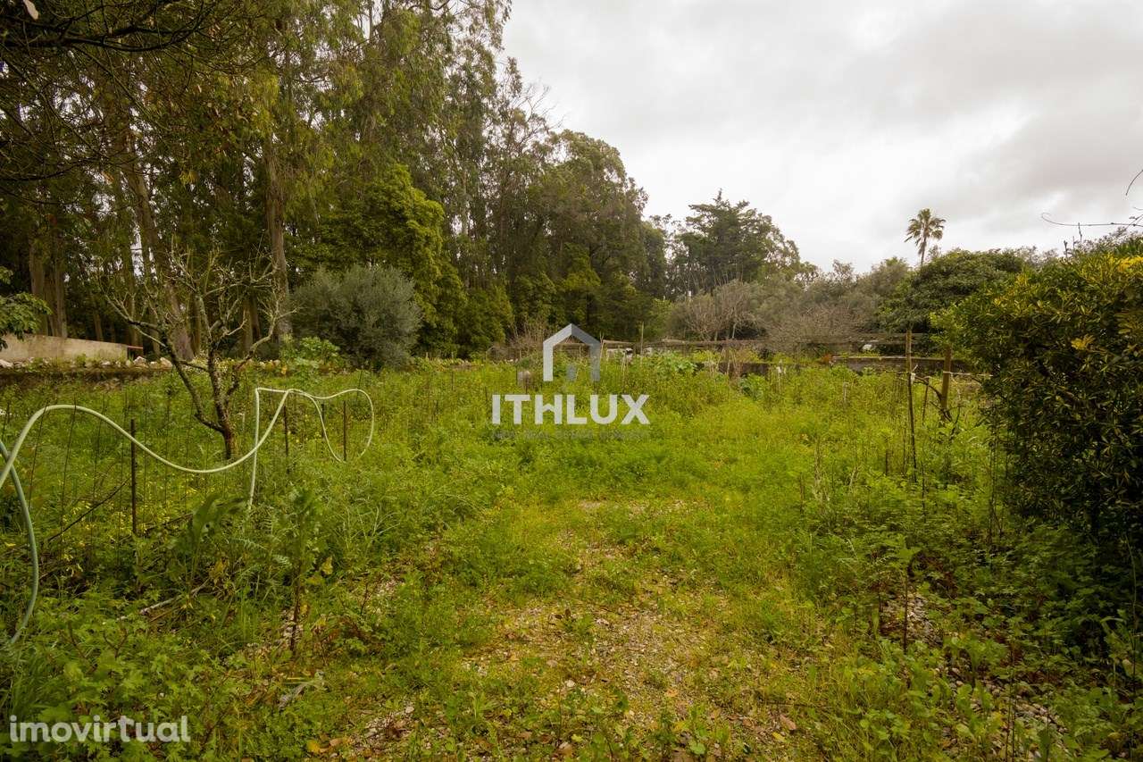 Moradia T4 em Sintra - Grande imagem: 5/57