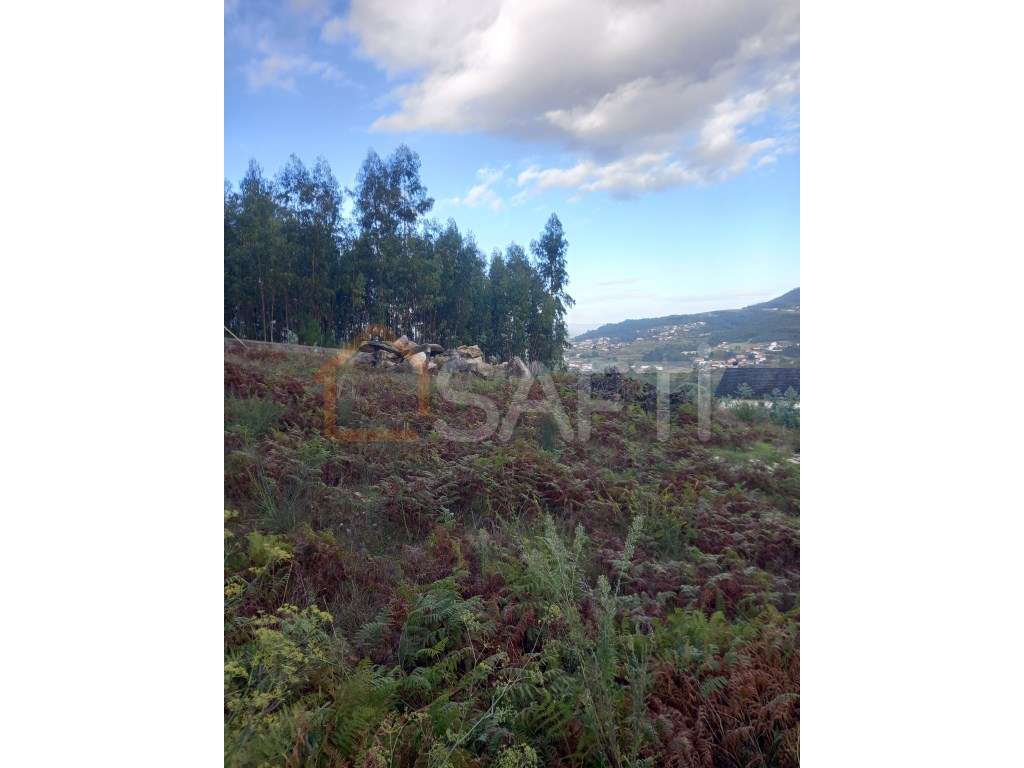 Terreno para construção com 1000m2 - Grande imagem: 2/6