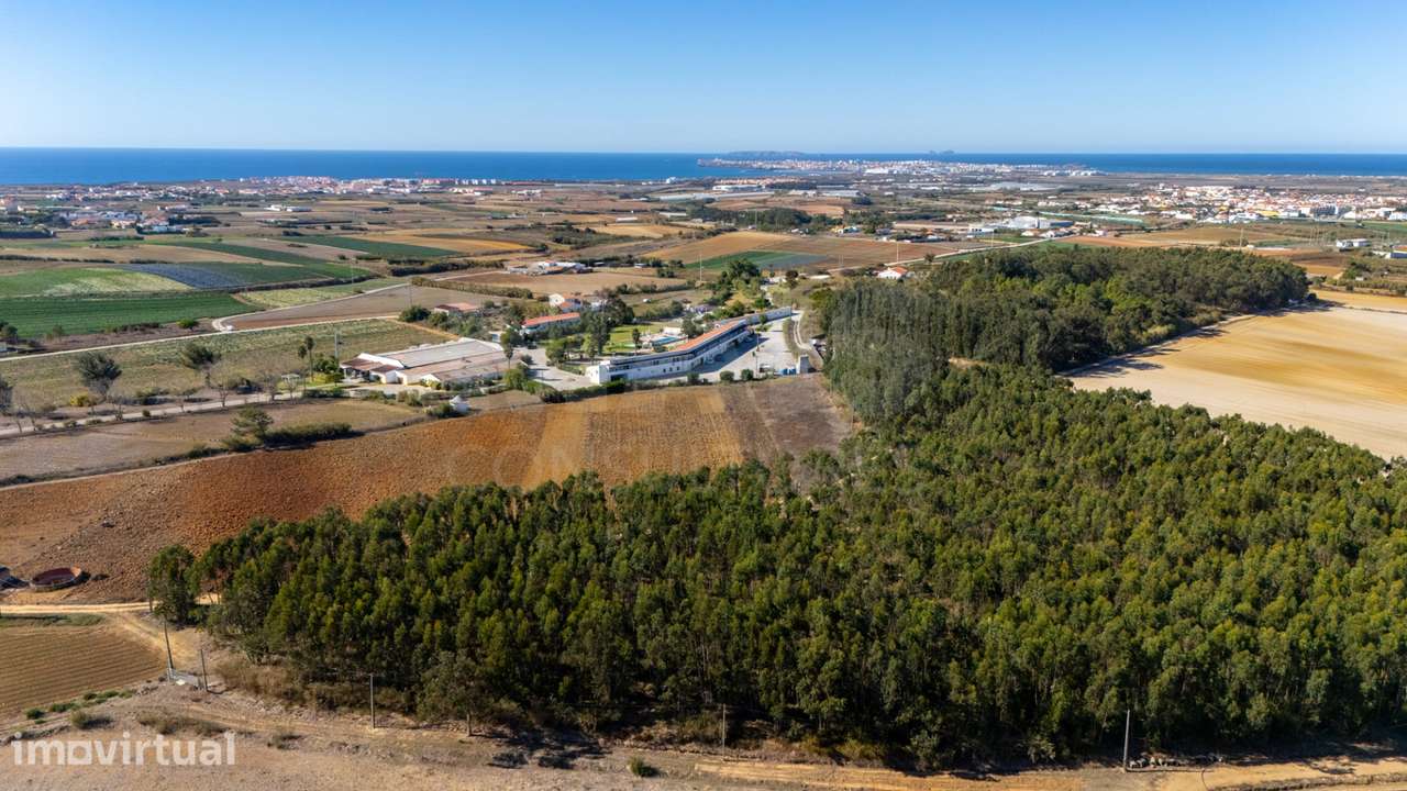 Parcela de terreno rústico de 4.700m2 em Atouguia da Baleia - Grande imagem: 5/34
