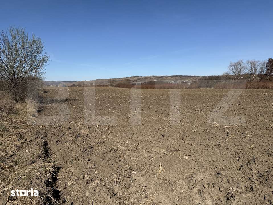 Teren extravilan in suprafata de 4000 mp in loc. Hereclean - Imagine principală: 3/3