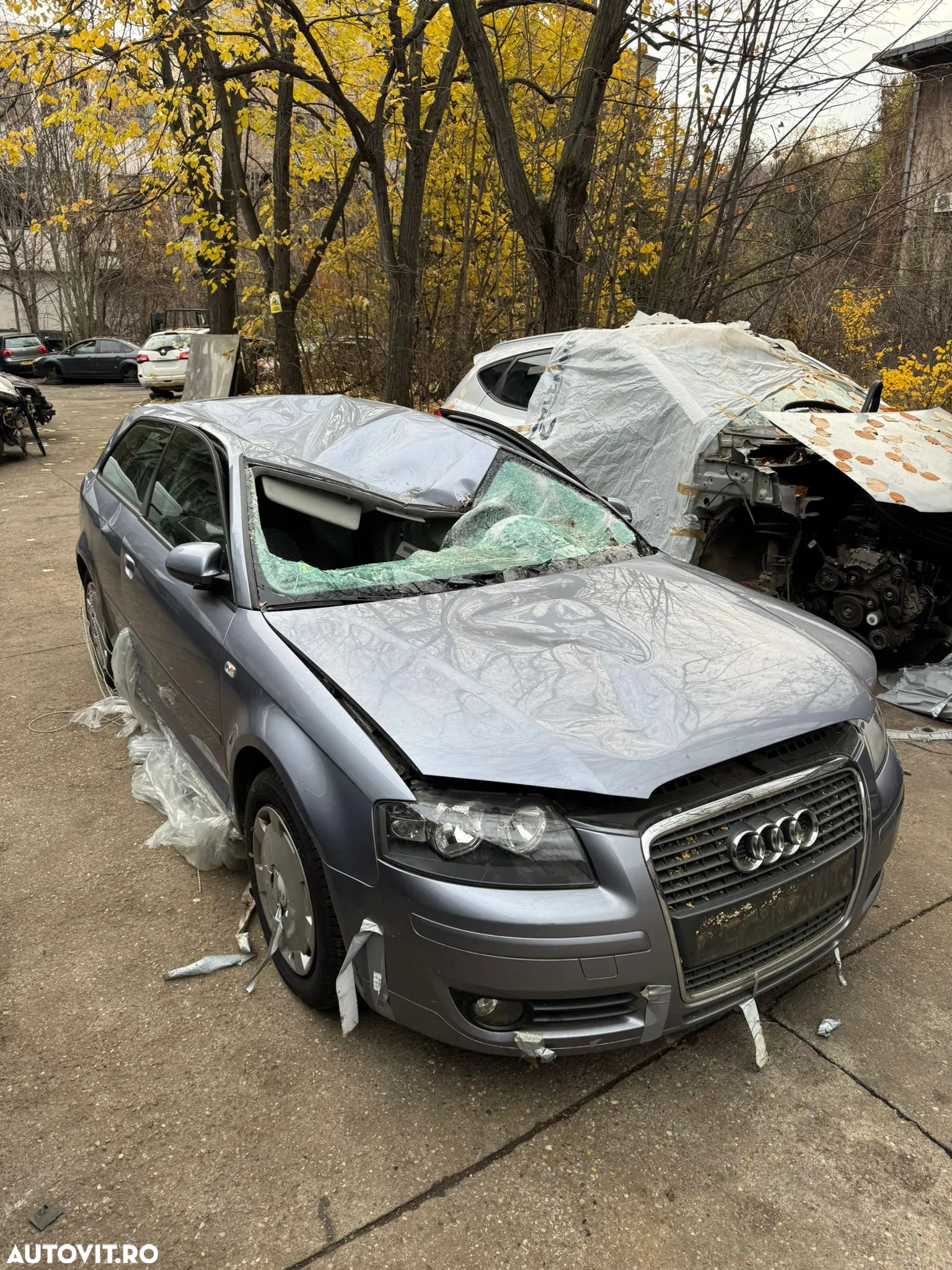 Dezmembrez Audi A3 coupe facelift 2008 1.6 benzina - 2