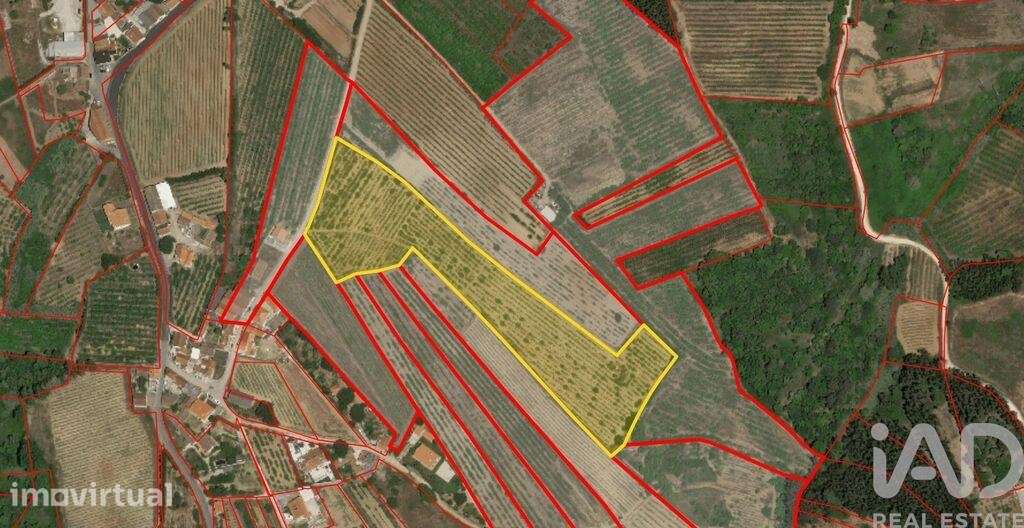 Terreno Agrícola em Carvalhal - Grande imagem: 3/7