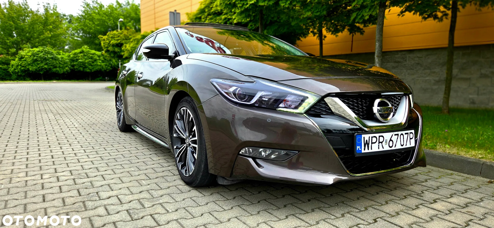Nissan Maxima - 20