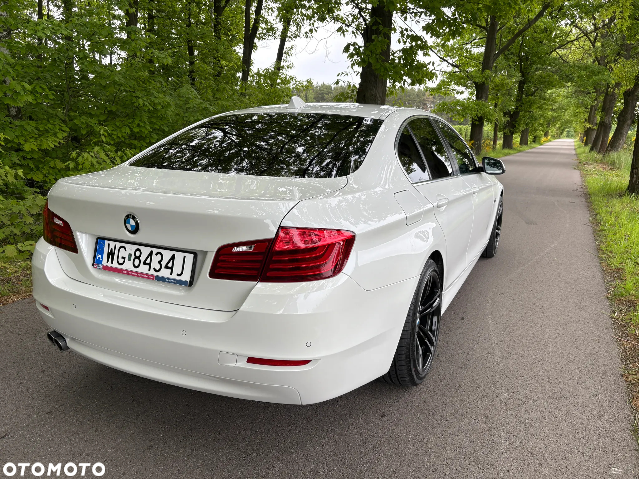 BMW Seria 5 520d - 31
