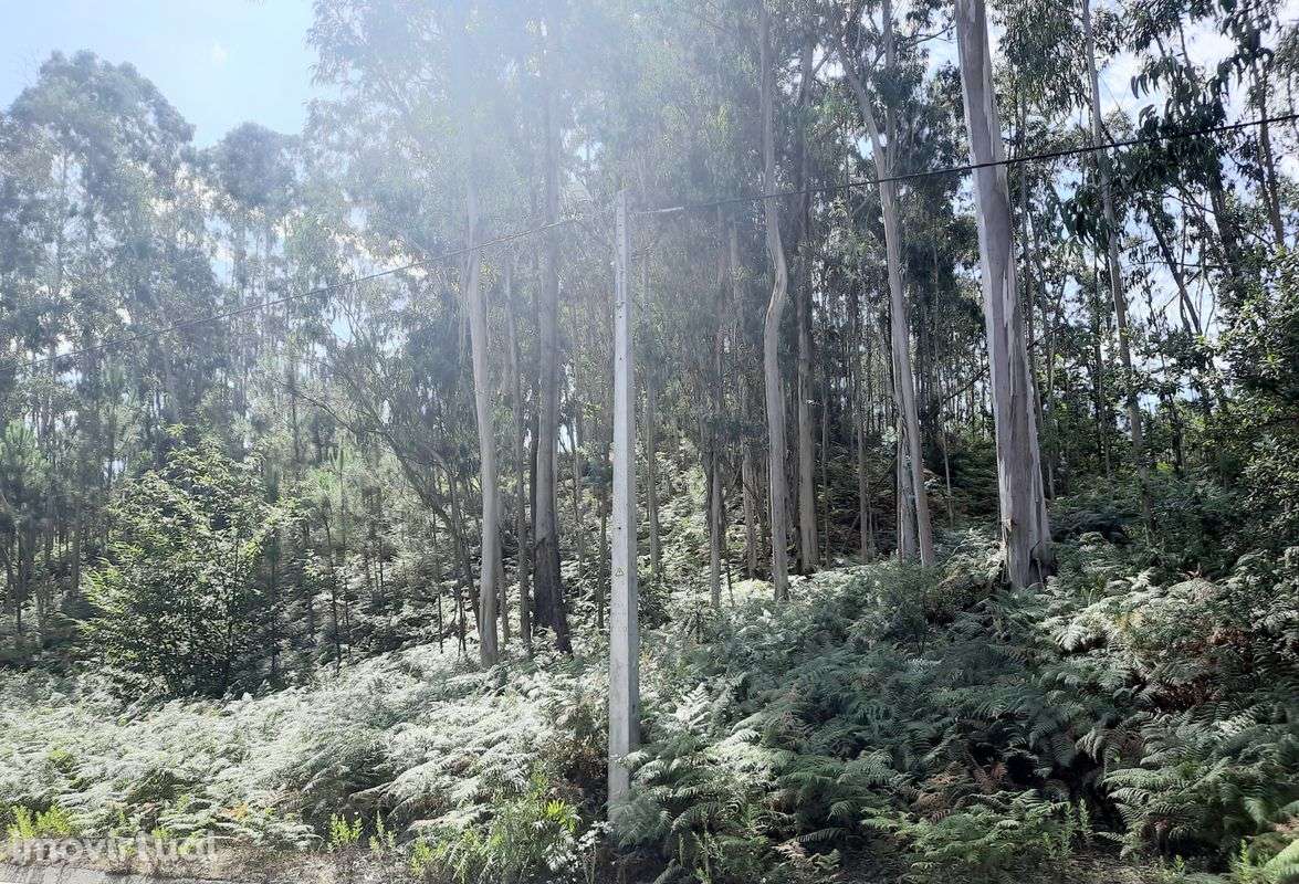 Terreno  para venda - Grande imagem: 4/6