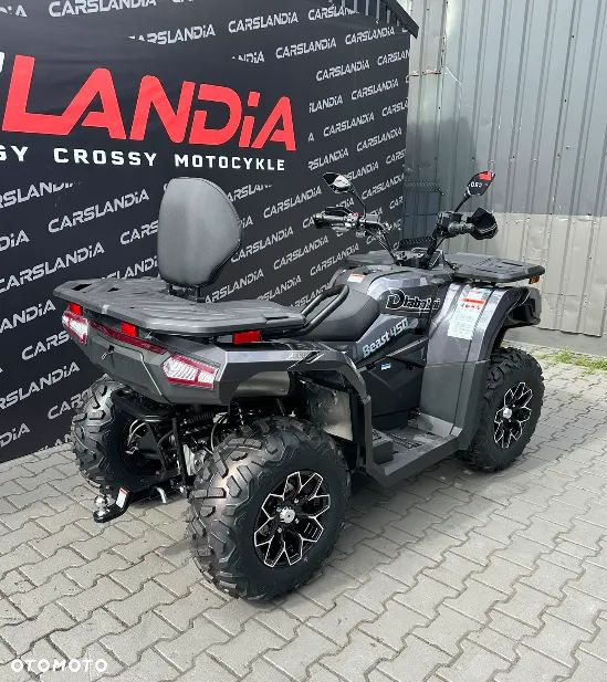 Diabolini Inny - 12