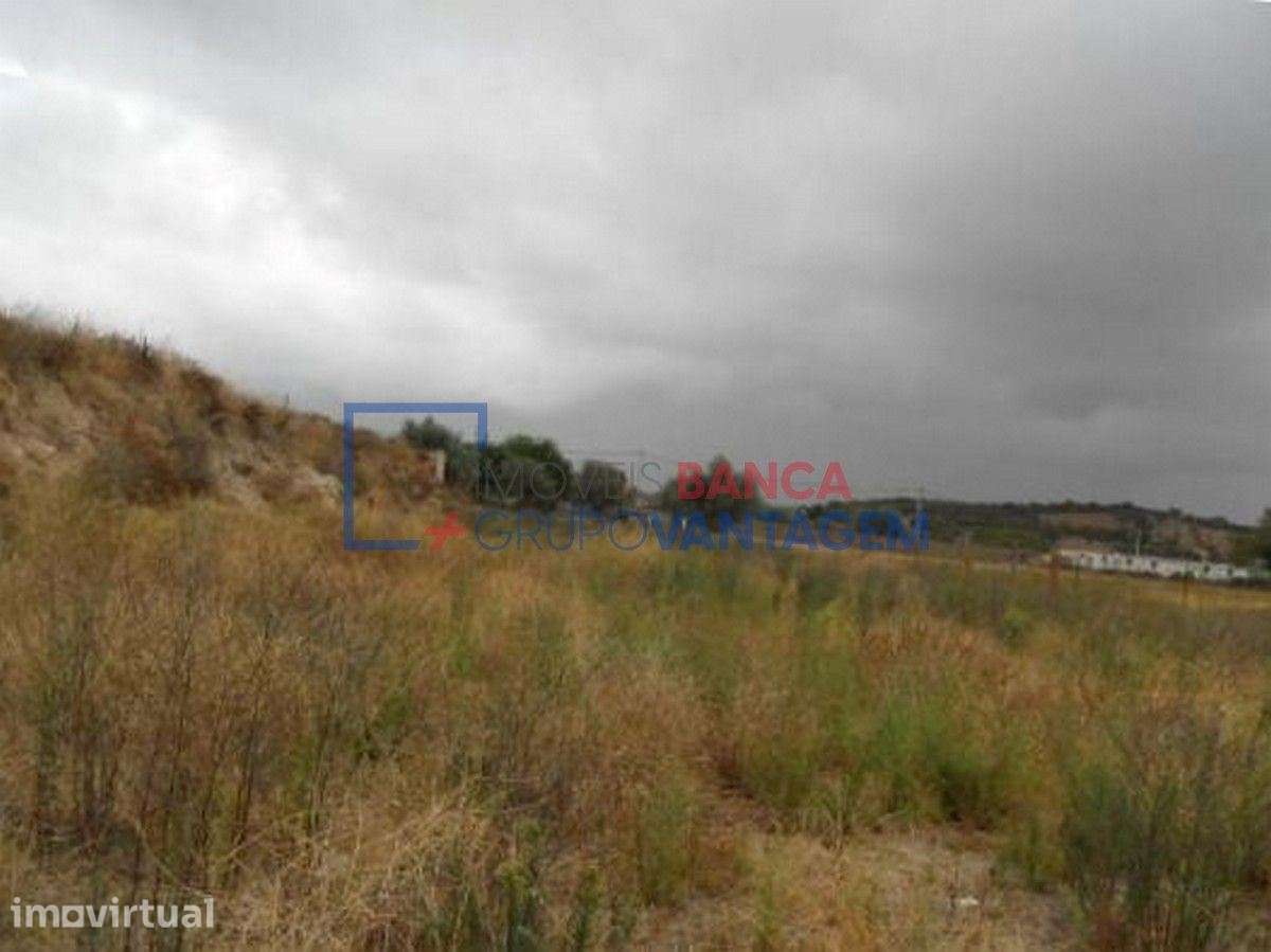 Terreno misto com 489m² no Sítio do Curral, Alvito, para construção... - Grande imagem: 2/4
