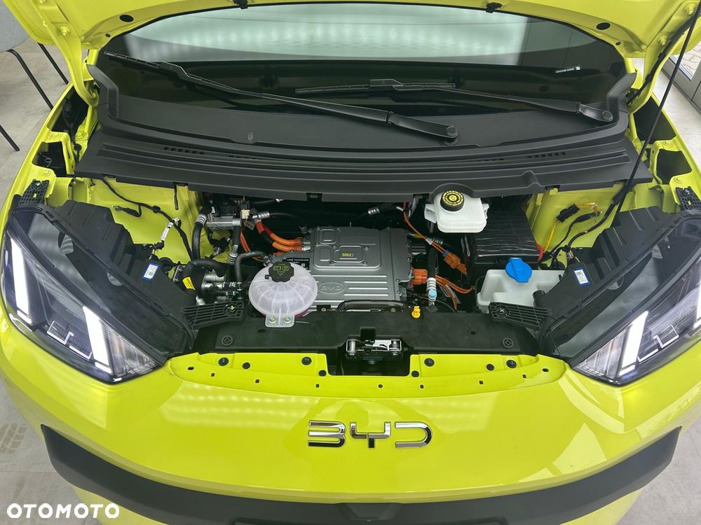 BYD Dolphin Surf - 6