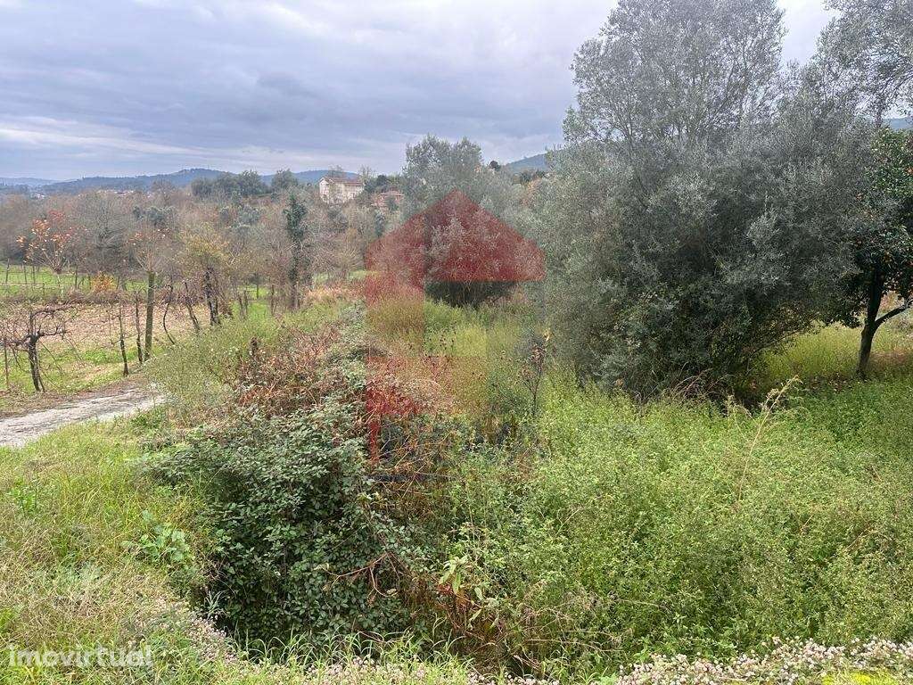 Terreno agrícola, Vilarinho - Grande imagem: 2/10