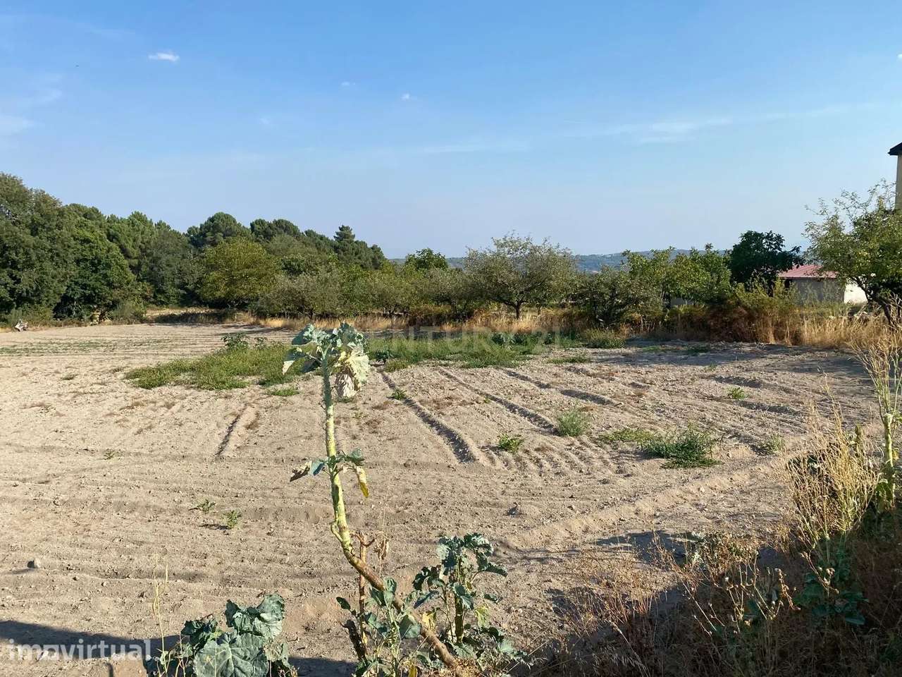 Terreno para construção a 16 Kms de  Chaves - Grande imagem: 3/5