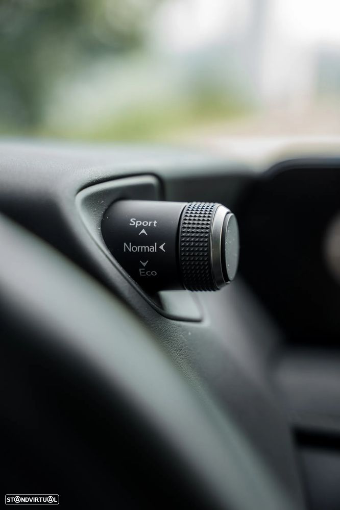 Lexus UX 300e Luxury - 36