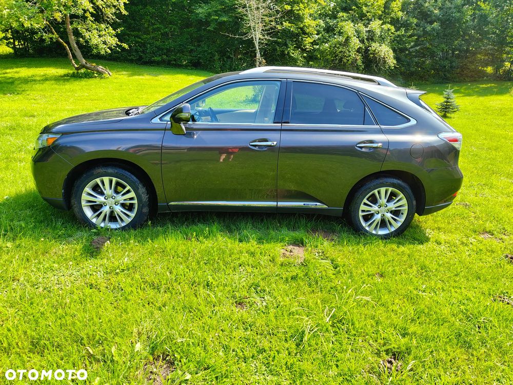 Lexus RX - 2