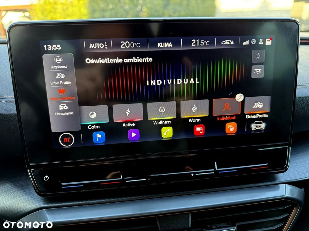 Cupra Formentor 1.5 TSI DSG - 23