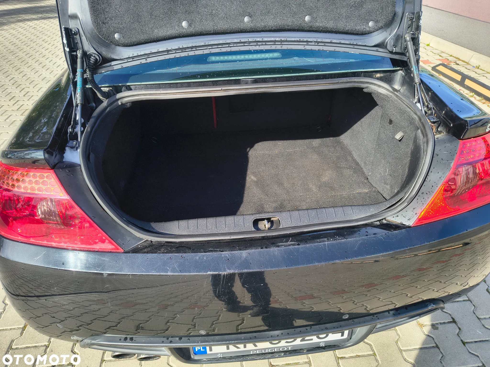 Peugeot 407 - 10