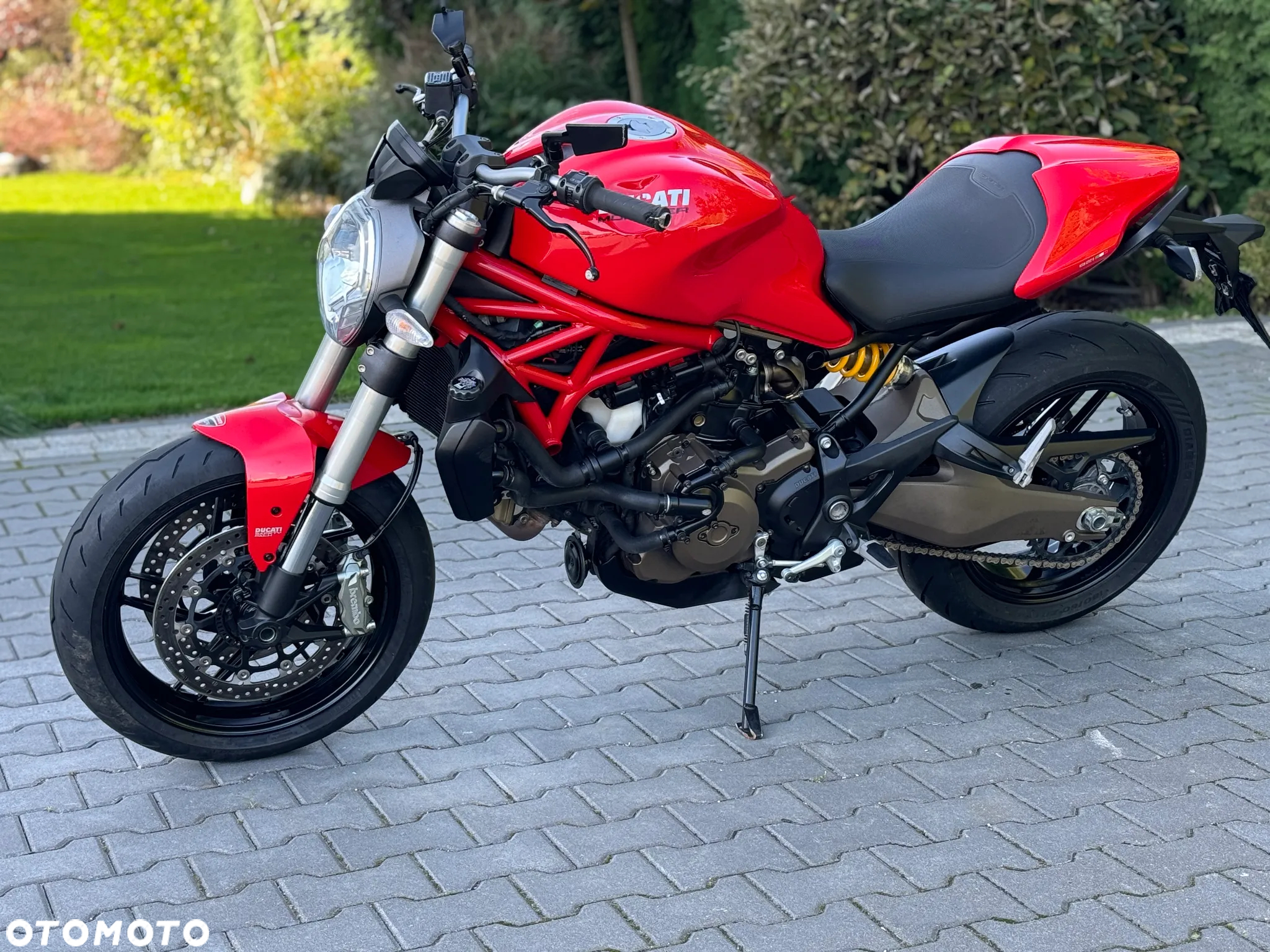 Ducati Monster - 9