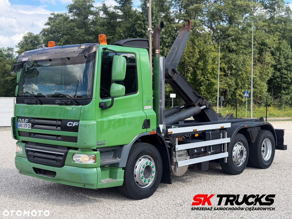 DAF CF 250/EURO 5/Z NIEMIEC - 1