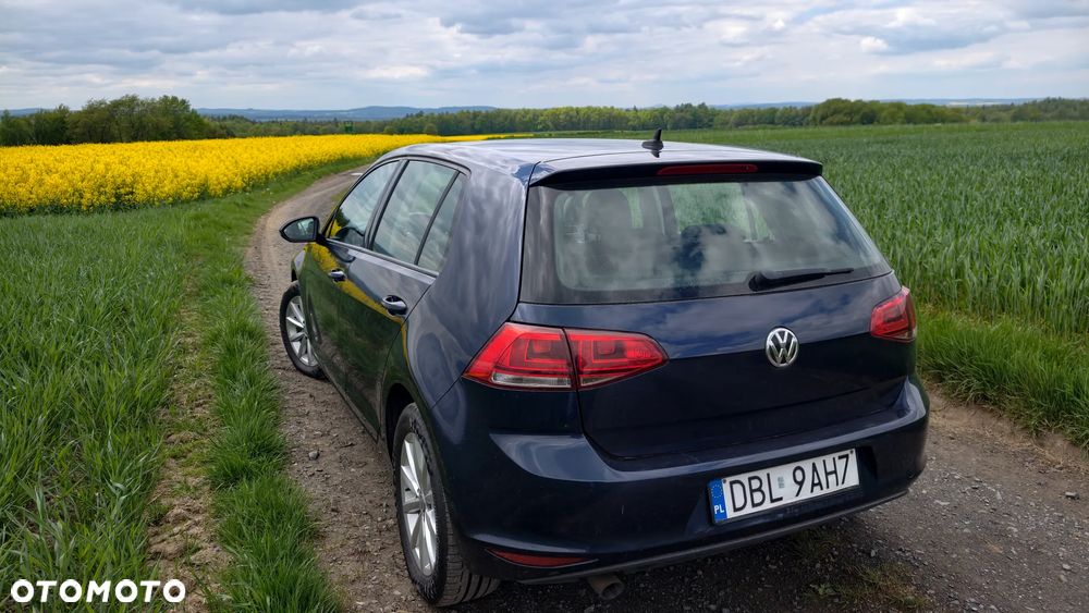 Volkswagen Golf 1.6 TDI Highline DSG - 10