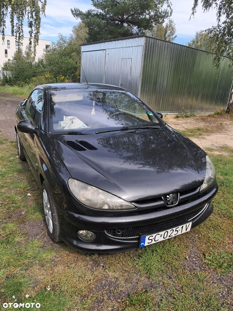 Peugeot 206 - 6