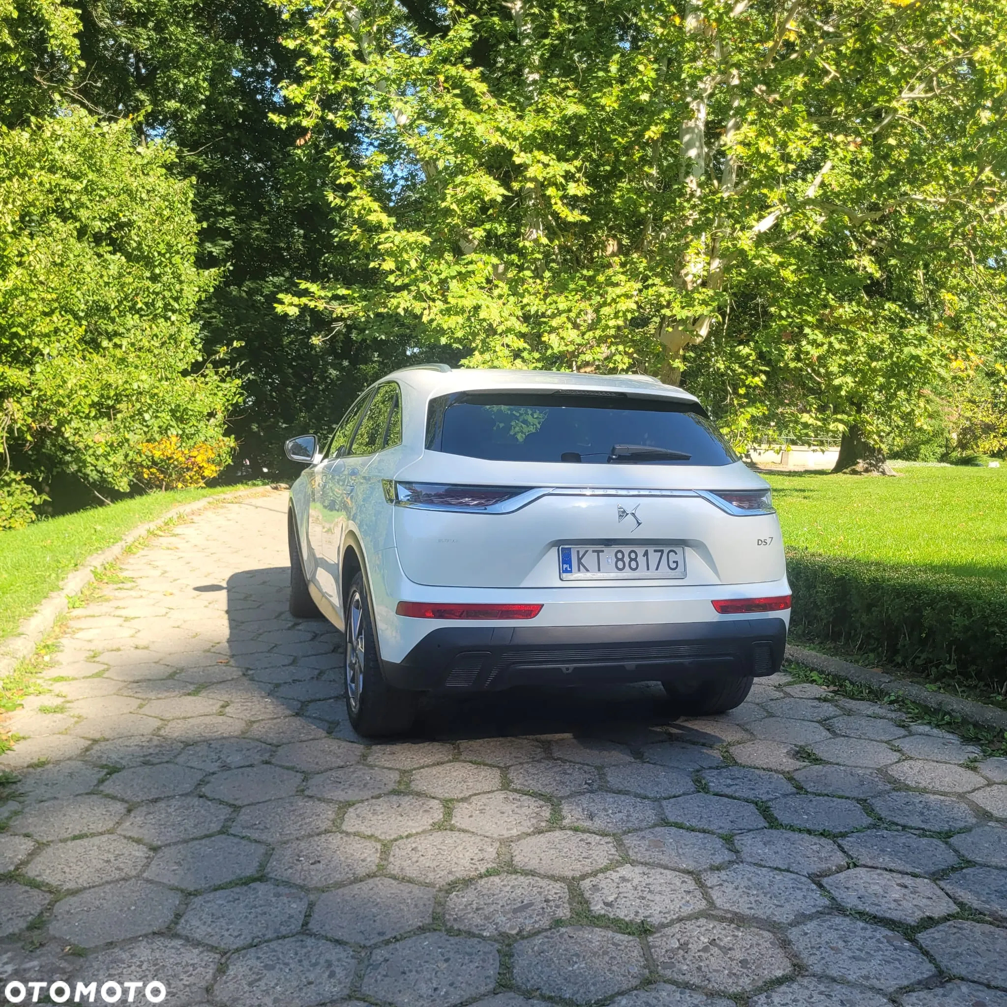 DS Automobiles DS 7 Crossback 1.5 BlueHDi Chic - 3