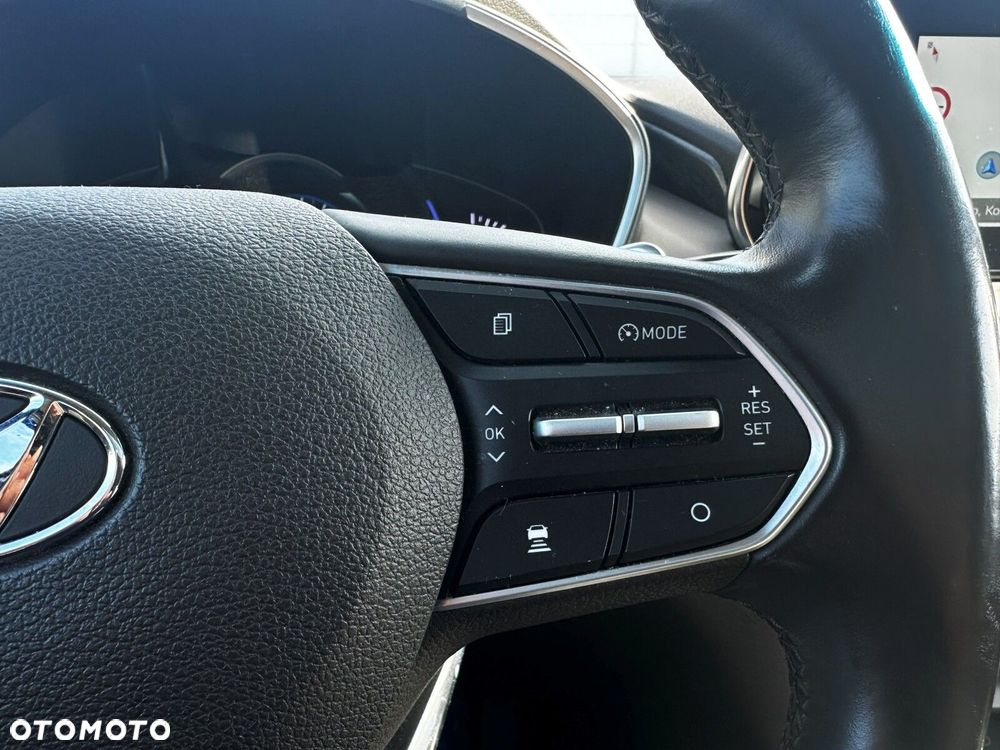 Hyundai Santa Fe - 19